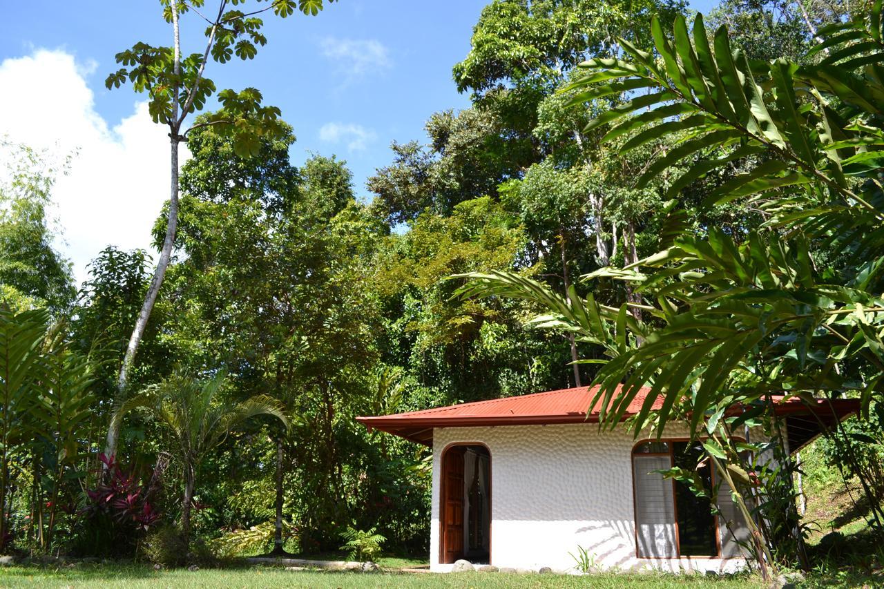 Natuga Ecolodge-Villas Dominical Baru ห้อง รูปภาพ